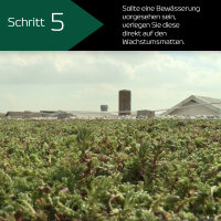 30m² KNAUF Urbanscape Gründach-System GR Premium High 54L