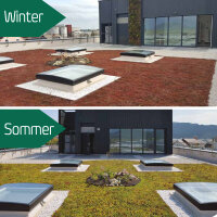 KNAUF Urbanscape Gründach-System Dachbegrünung Standard Air 26L