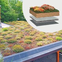 BauderGREEN Gründachpaket Extensiv 100kg/m² -...
