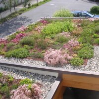 BauderGREEN Gründachpaket light 80kg/m² - 18m²