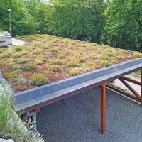 BauderGREEN Gründachpaket light 80kg/m² - 18m²